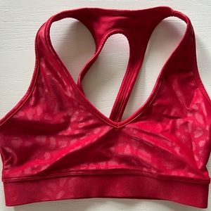 Carbon 38 Sports Bra